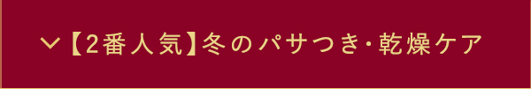 【2番人気】冬のパサつき・乾燥ケア