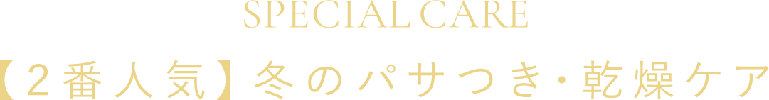 【2番人気】冬のパサつき乾燥ケア