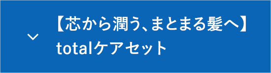 芯から潤う、まとまる髪トータルケアセット