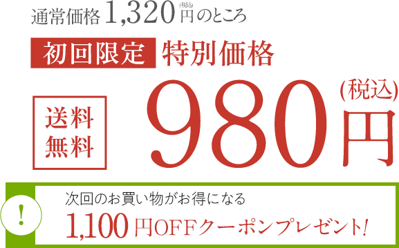 お1人様1点限り【初回限定】【送料無料】980円