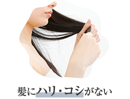 髪にハリ・コシがない