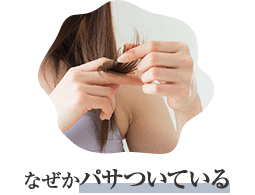 なぜかパサついている