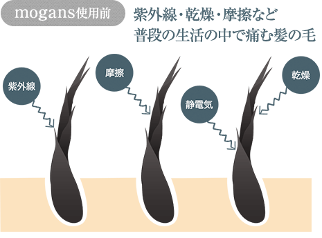 mogans使用前