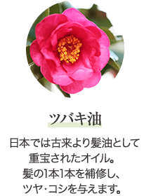 ツバキ油