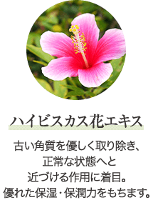 ハイビスカス花エキス
